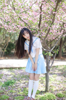 白蔷薇学园